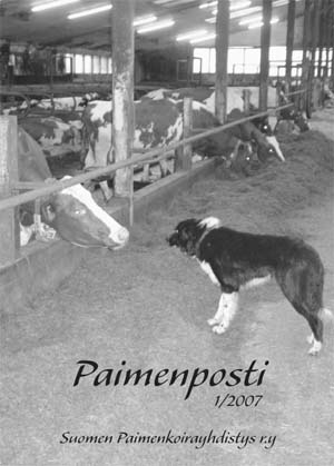 Paimenpostin 1/2007 kansi